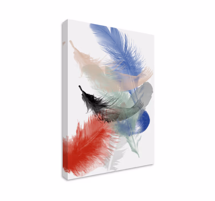 Dipinto di penna esposizione di piume colorate - TenStickers