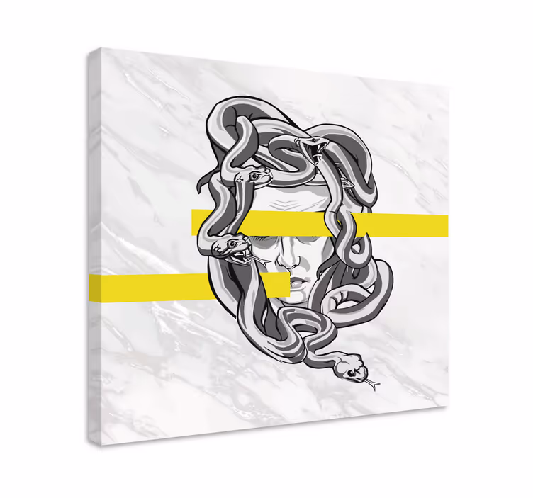 Cornice quadro ornamentale disegno della testa di medusa - TenStickers