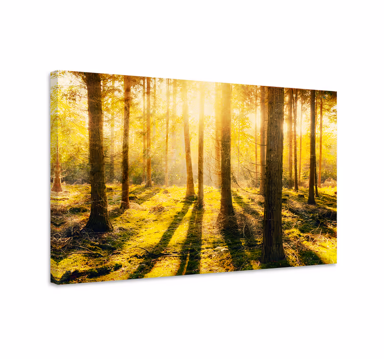 Dipinto di paesaggio vista di bosco soleggiata - TenStickers