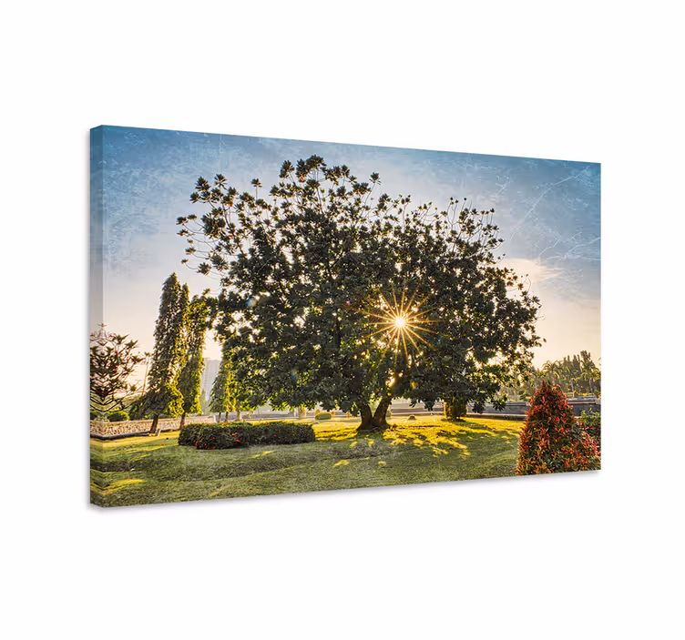 Dipinto alberi silhouette di albero maestoso - TenStickers