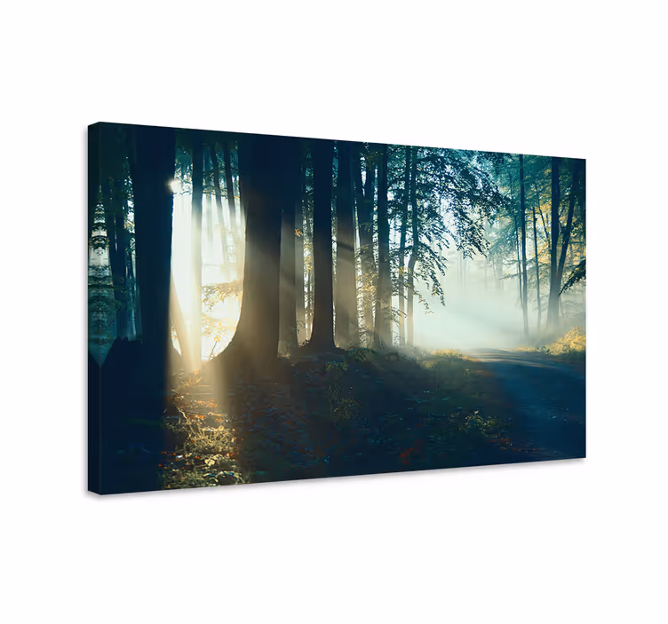 Dipinto di paesaggio sentiero nel bosco nebbioso - TenStickers