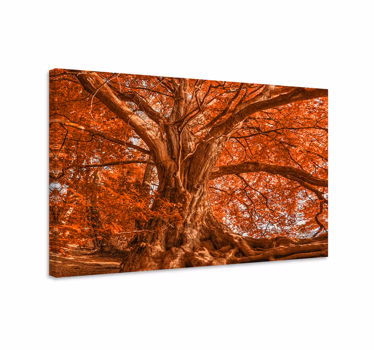Dipinto alberi canopy autunnale maestoso - TenStickers