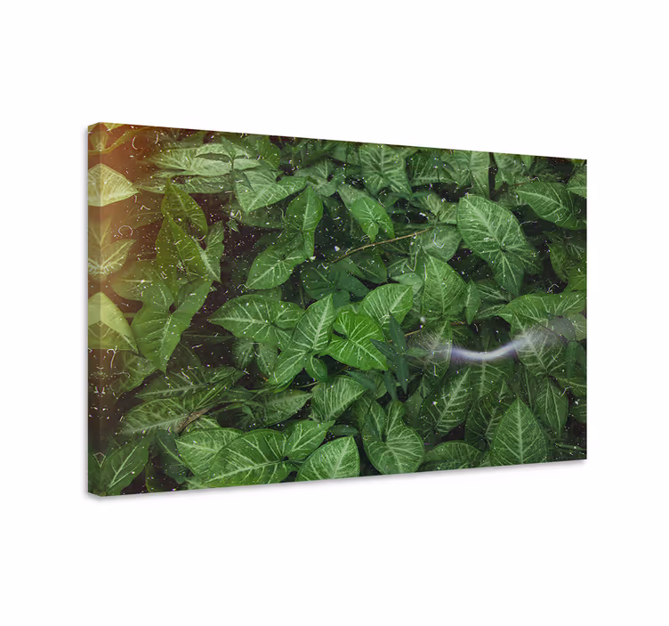 Dipinto con fiori e piante foglie verdi vibranti - TenStickers