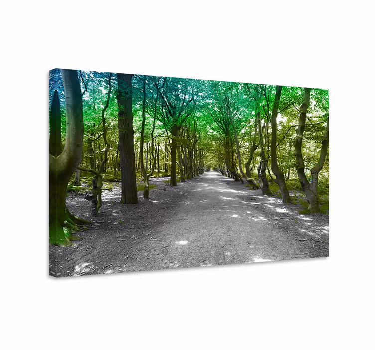 Dipinto alberi sentiero verdeggiante nella foresta - TenStickers