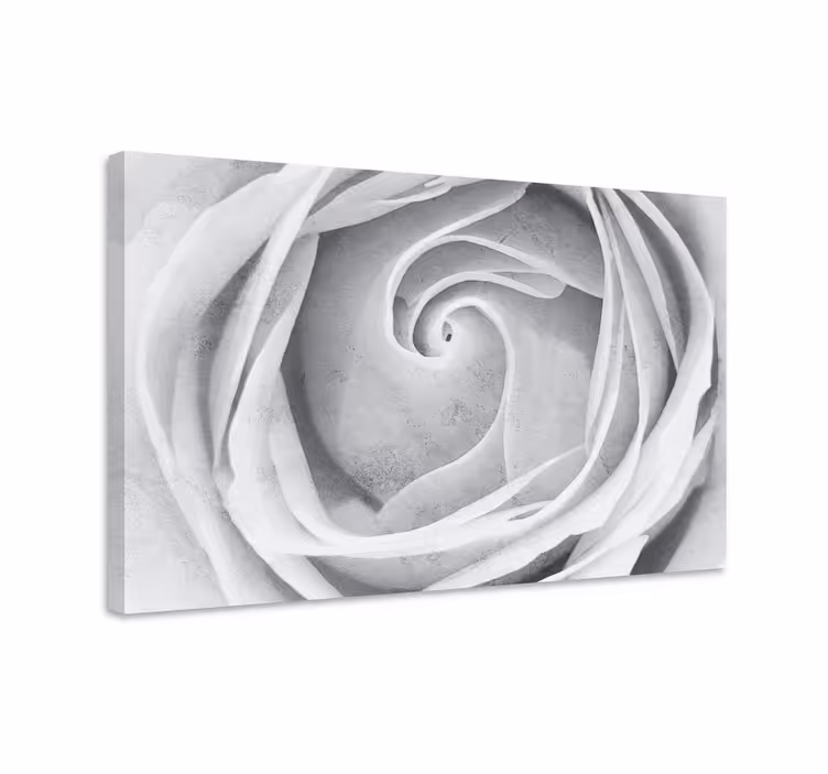 Dipinto con fiori e piante spirale di rose elegante - TenStickers