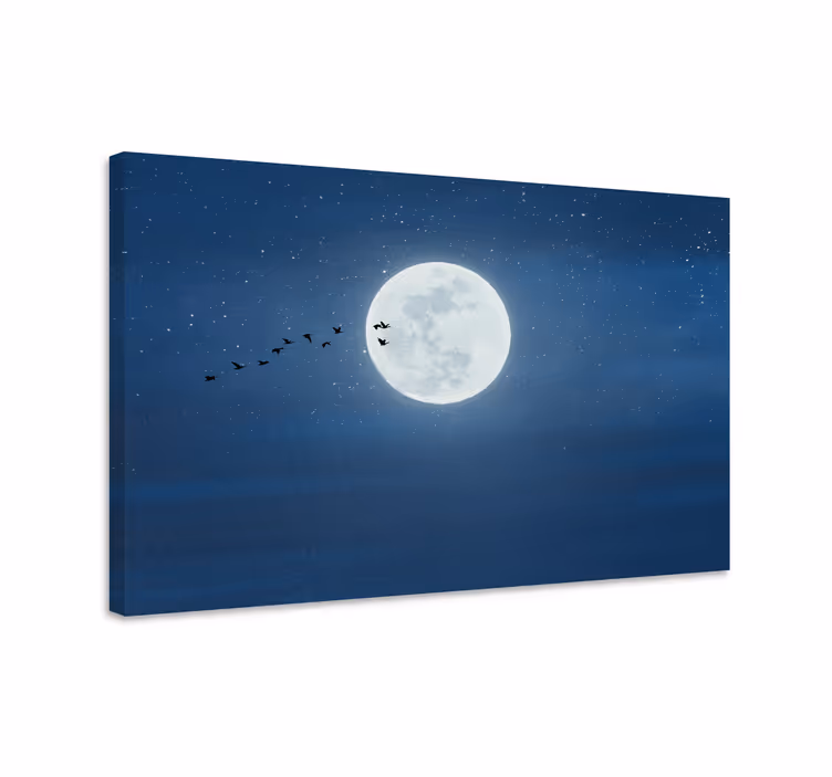Dipinto di paesaggio volo al chiaro di luna - TenStickers