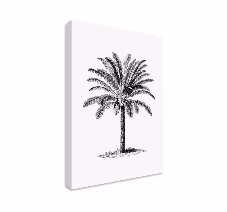 Quadro con palma effetto Inchiostro - TenStickers