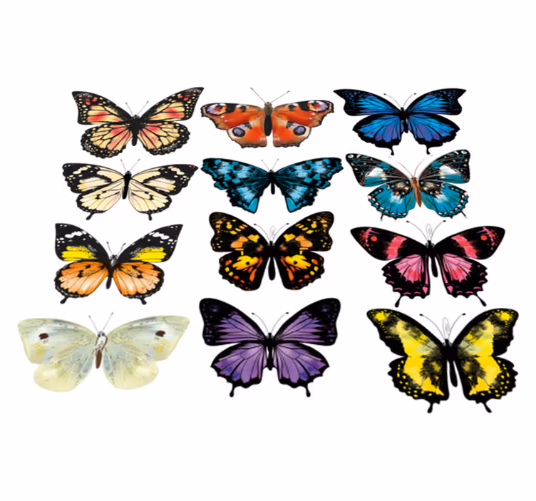 Tappeto vinile animali illustrazione farfalle - TenStickers