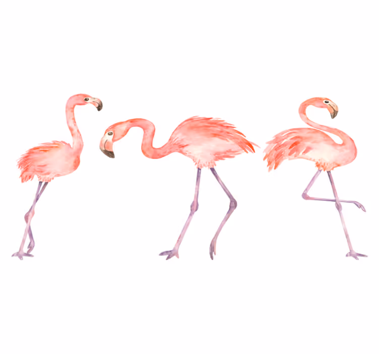 Tappeto vinile animali trio di fenicotteri eleganti - TenStickers