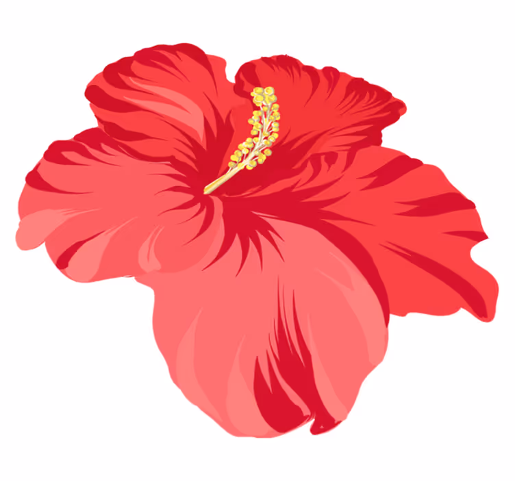 Tappeto vinile fiori kit fiore ibisco rosso - TenStickers