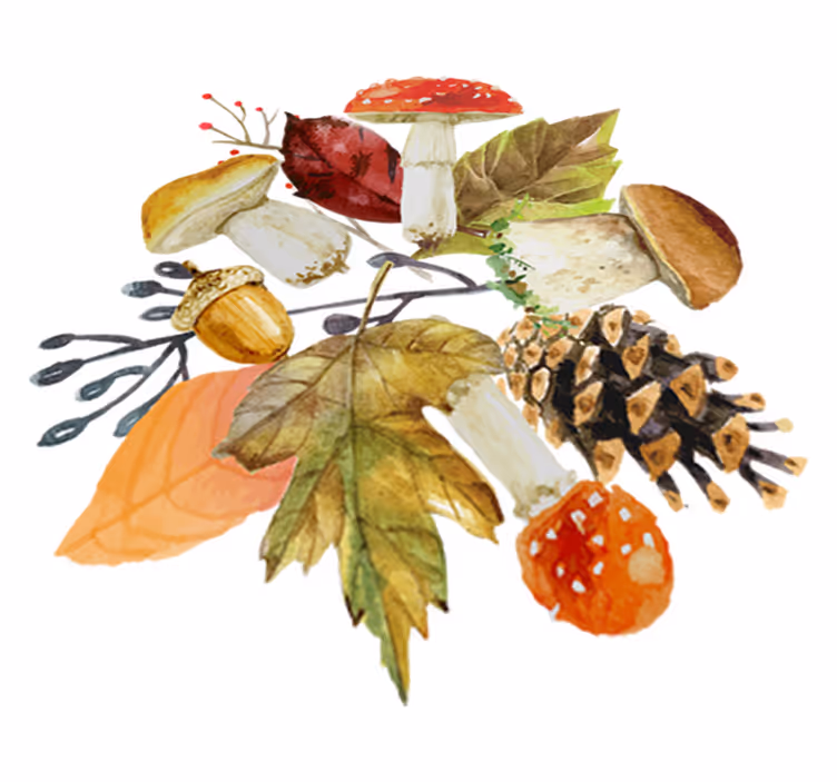 Tappeto vinile natura foglie e frutti della foresta - TenStickers