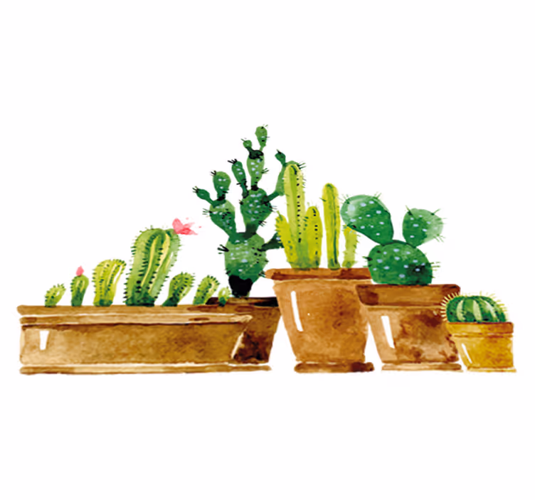 Tappeto vinile fiori giardino di cactus fai da te - TenStickers