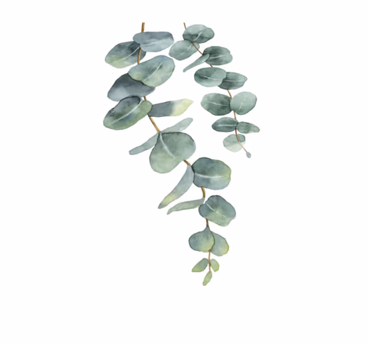Tappeto vinile fiori rami di eucalipto - TenStickers