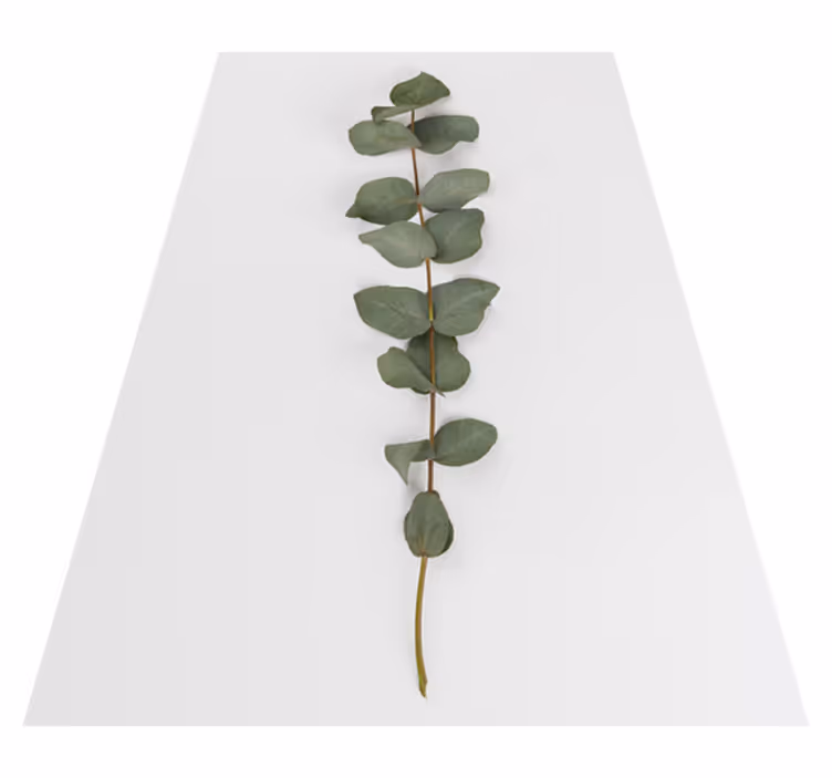 Tappeto vinile fiori foglie di eucalipto - TenStickers