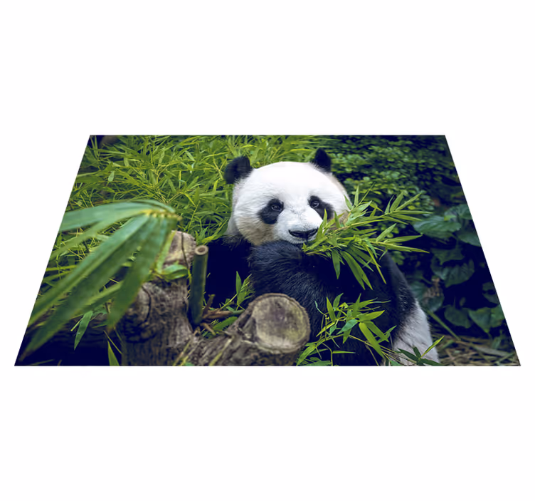 Tappeto vinile verde panda carino - TenStickers