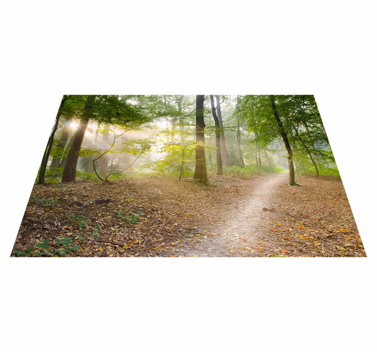 Tappeto vinile verde sentiero nella foresta - TenStickers