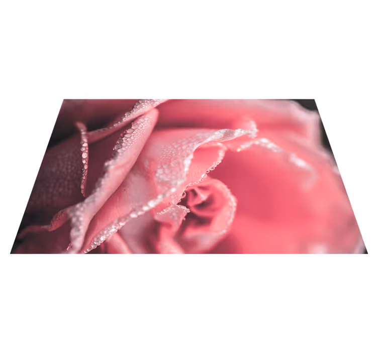 Tappeto vinile fiori petali di rosa rugiadosi - TenStickers