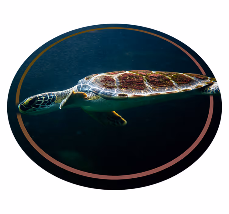Tappeto vinile animali cerchio della tartaruga marina - TenStickers