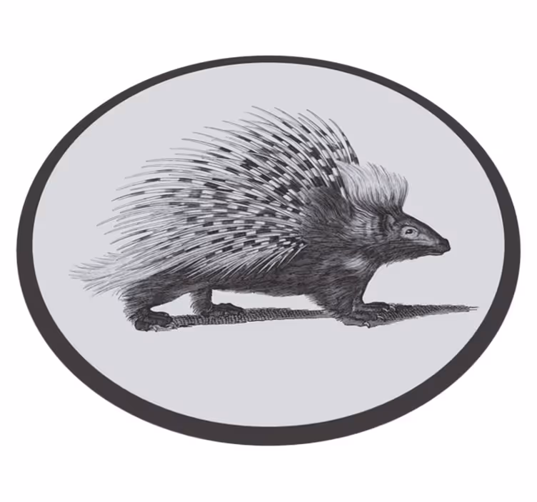 Tappeto vinile animali illustrazione del porcospino - TenStickers