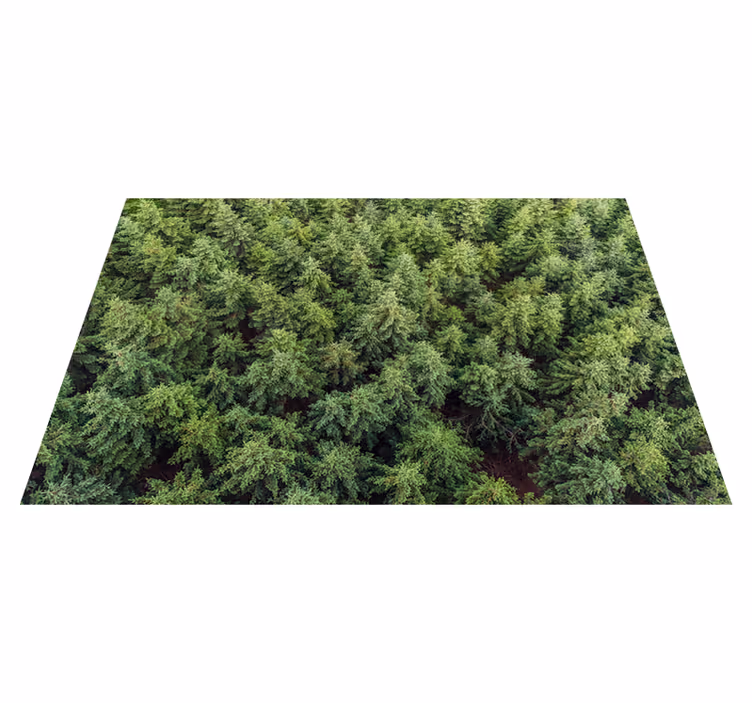 Tappeto vinile natura vista aerea della foresta - TenStickers