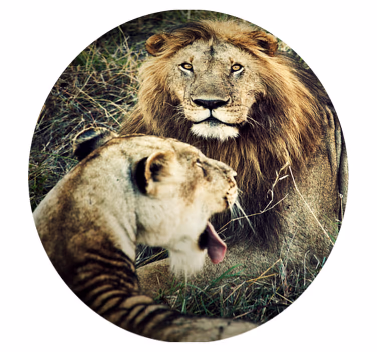 Tappeto vinile animali maestosa coppia di leoni - TenStickers