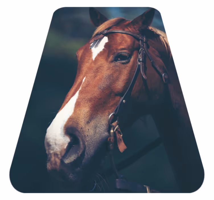 Tappeto vinile animali maestosa testa di cavallo - TenStickers