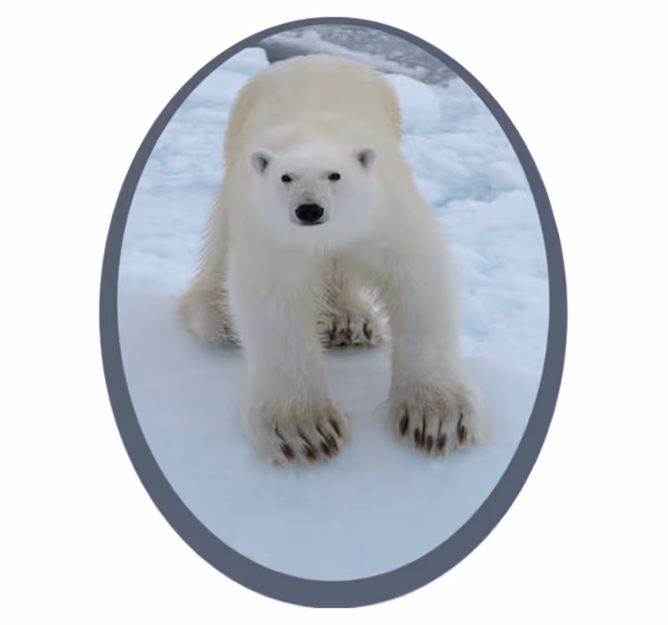 Tappeto vinile animali immagine di orso polare - TenStickers