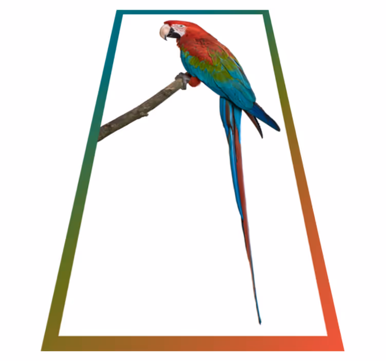 Tappeto vinile animali ara colorata - TenStickers