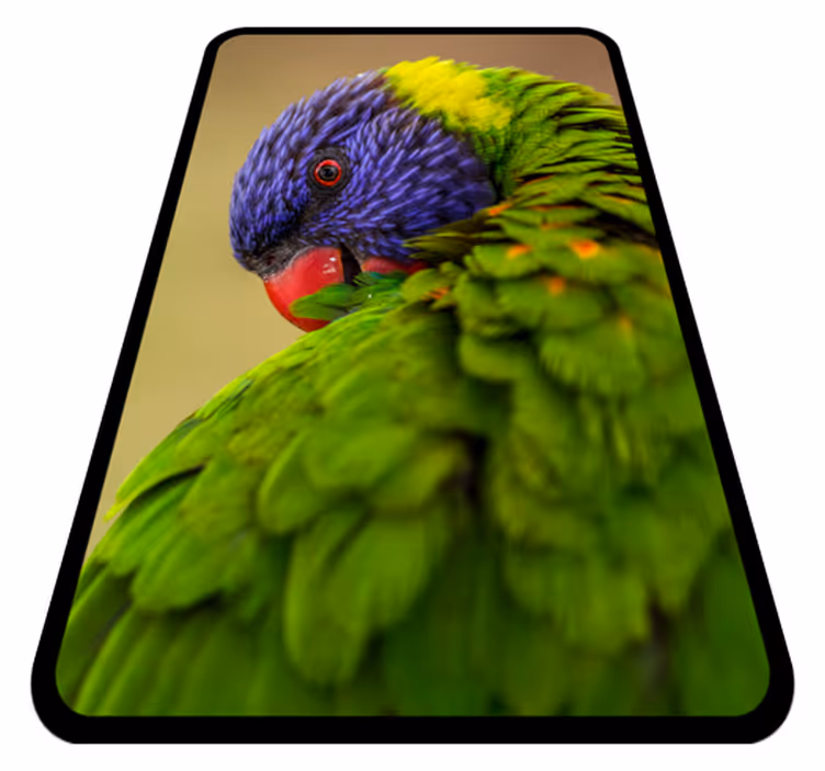 Tappeto vinile animali ritratto di pappagallo colorato - TenStickers