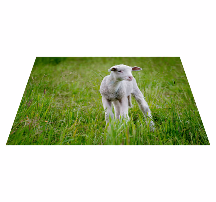 Tappeto vinile animali agnello in piedi - TenStickers
