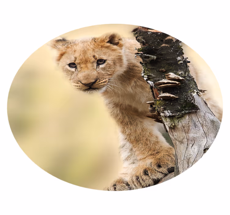 Tappeto vinile stampa animale cucciolo di leone curioso - TenStickers
