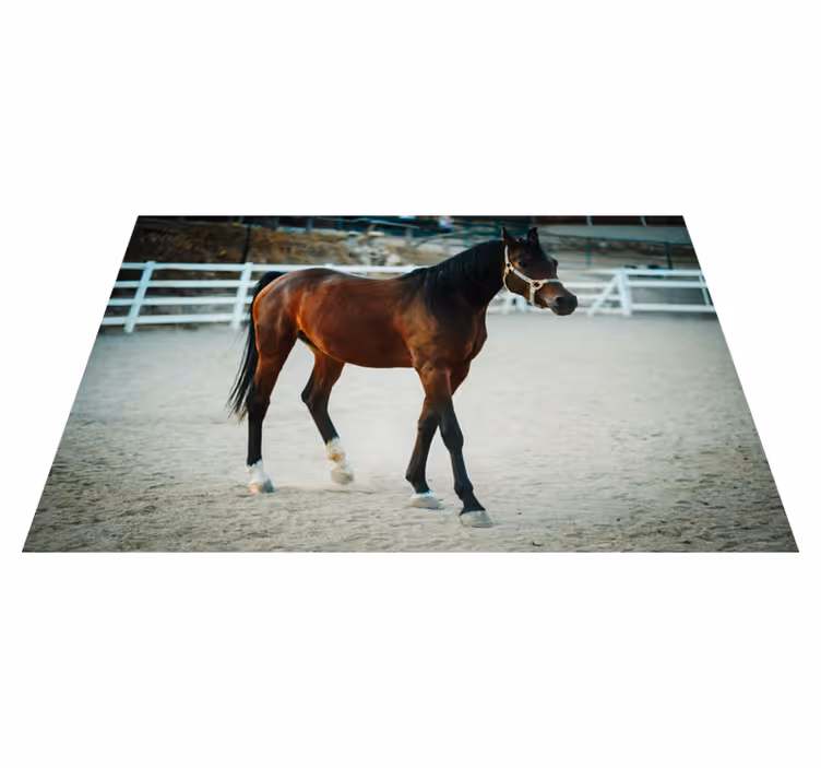 Tappeto vinile animali ritratto di cavallo maestoso - TenStickers