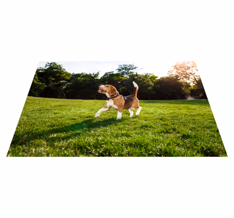 Tappeto vinile animali beagle felice che corre - TenStickers