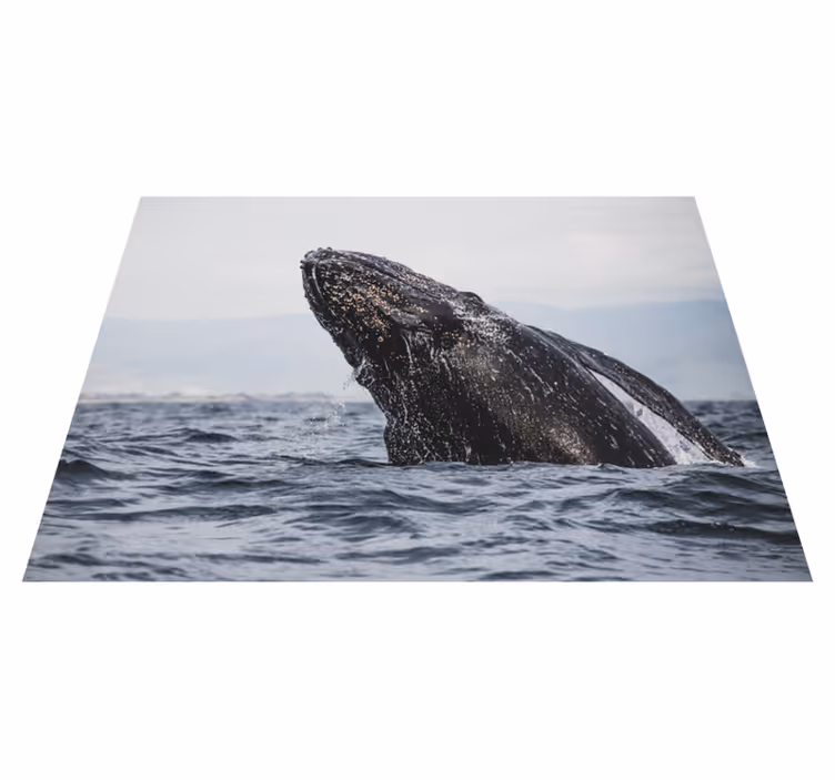 Tappeto vinile natura maestoso salto della balena - TenStickers