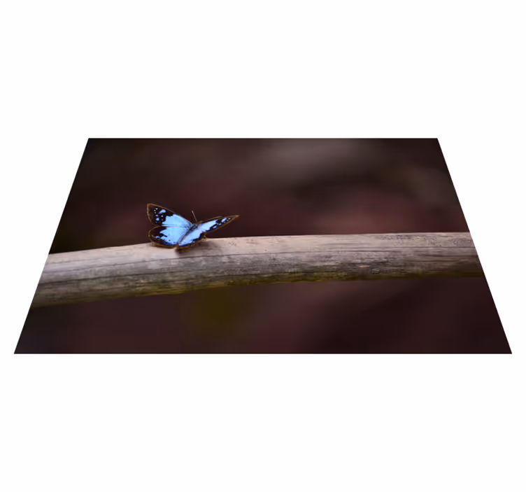 Tappeto vinile natura farfalla sul ramo - TenStickers