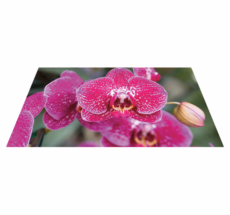 Tappeto vinile fiori vivaci fioriture di orchidee - TenStickers