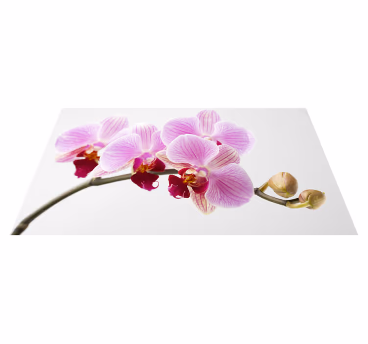 Tappeto vinile fiori disegno di orchidea rosa - TenStickers
