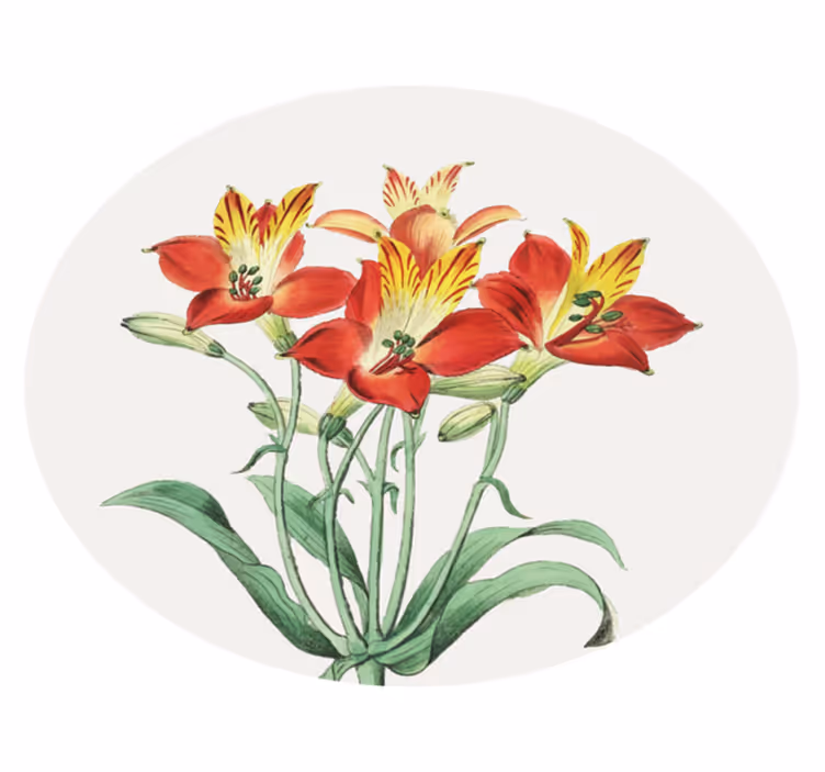 Tappeto vinile fiori fiori rossi vivaci - TenStickers