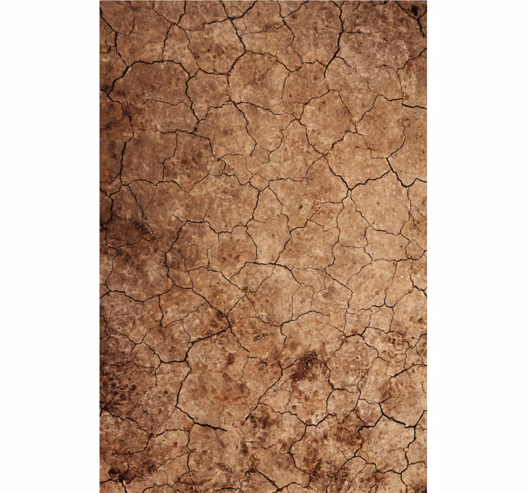 Carta da parati moderna texture effetto erosione crepata - TenStickers