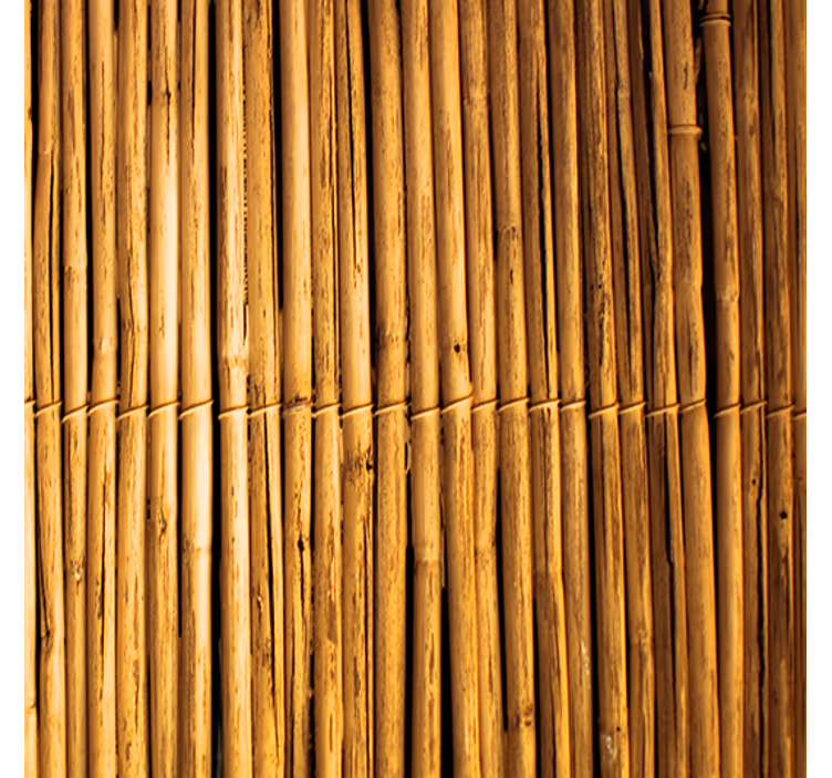 Carta da parati moderna texture effetto bambù - TenStickers