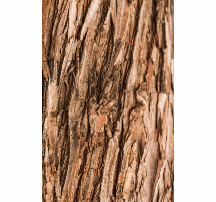 Carta da parati soggiorno corteccia d'albero - TenStickers
