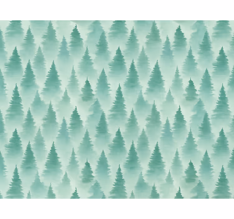 Carta da parati paesaggi foresta di pini nebulosa - TenStickers