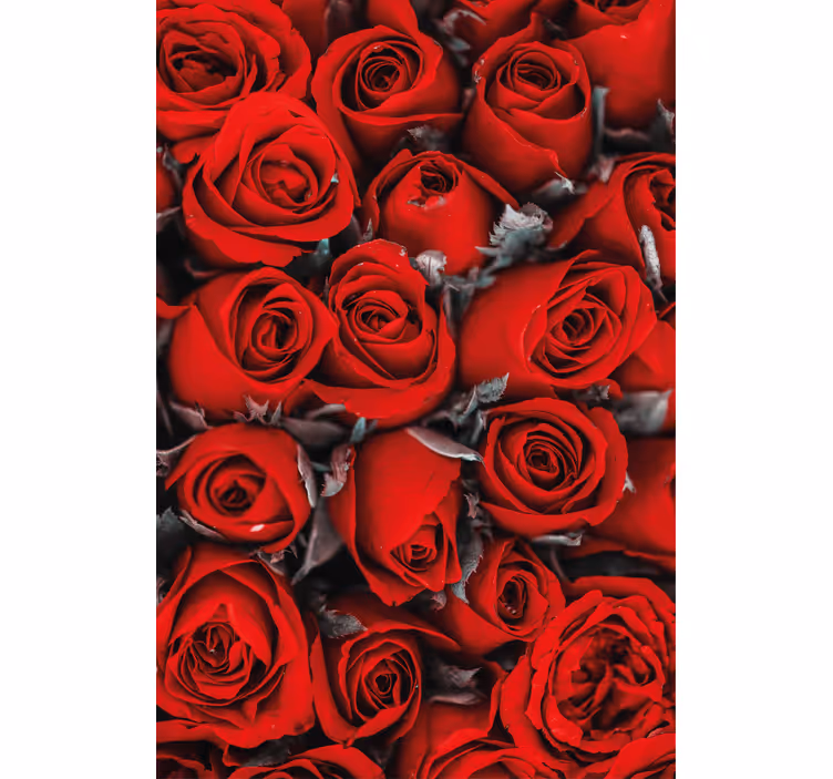 Carta da parati floreale rose rosse romantiche - TenStickers