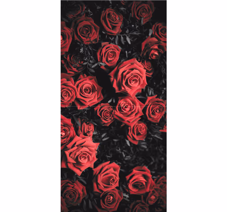 Carta da parati floreale rose rosse bellissime - TenStickers