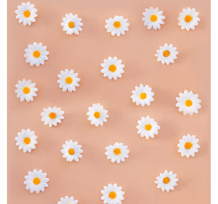 Carta da parati floreale fiori di margherita - TenStickers