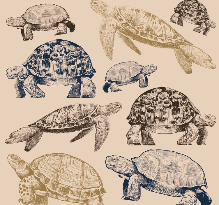 Carta da parati animali Tartarughe sfondo beige - TenStickers