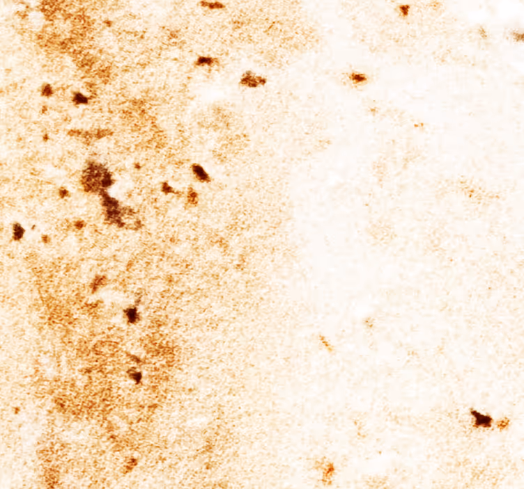 Carta da parati effetto marmo estetica della pietra naturale - TenStickers