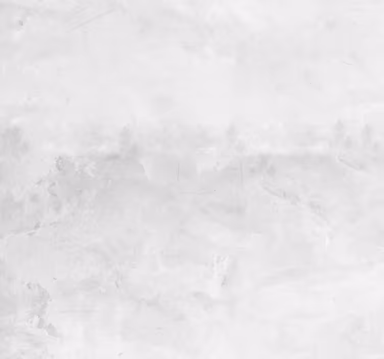 Carta da parati effetto cemento estetica moderna - TenStickers