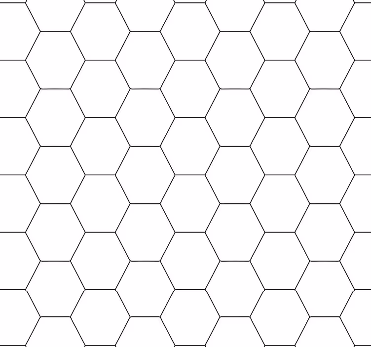Carta da parati moderna Favo di miele bianco e nero - TenStickers