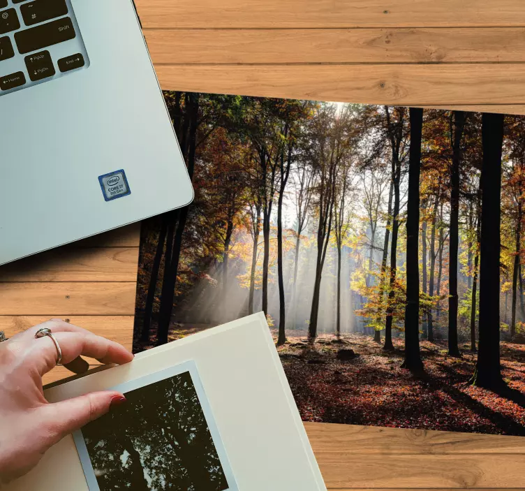 Tappetino mouse originale scena di foresta serene - TenStickers